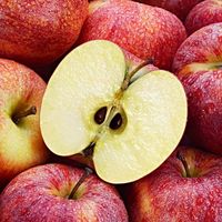 Apples