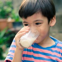 Drinking milk