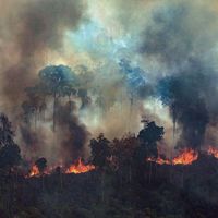 Amazon fire
