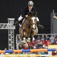 Equestrian competition