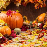 Fall leaves and Thanksgiving cornucopia