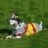 Firehouse mascot