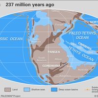 Pangea