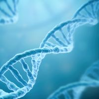 DNA strands