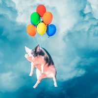 “When pigs fly”