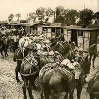 Battle of Verdun