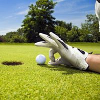 Golf cheat
