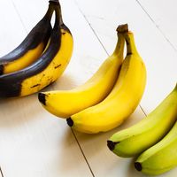 Bananas
