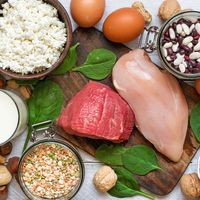 High-protein foods