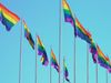 What is the history of same-sex marriage?