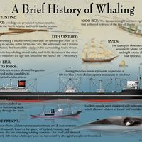 whaling history