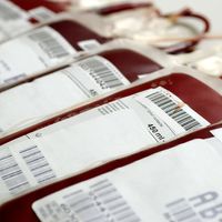Human blood bags
