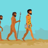 Evolution