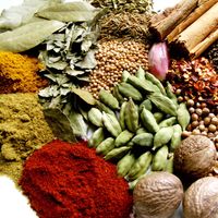 Herb or spice?
