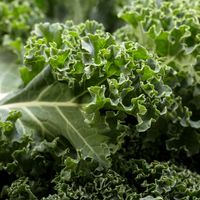 kale