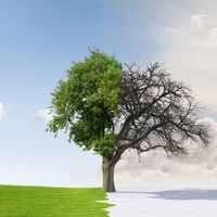 Changing seasons