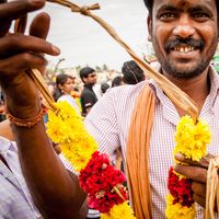 Pongal