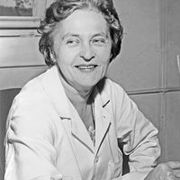 Mária Telkes