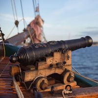 Cannon