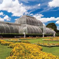 The Palm House in Kew Gardens, originally built between 1844 and 1848, displays exotic palms from around the world.