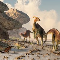 Parasaurolophus