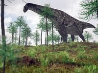 Patagotitan mayorum