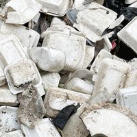 Single-use plastics