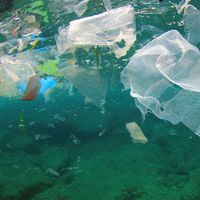 plastic pollution
