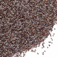 poppy seeds