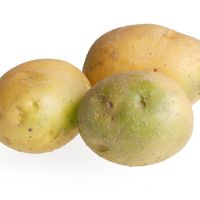 Green potatoes