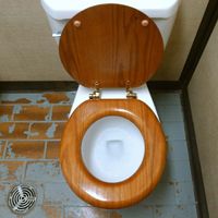 toilet