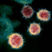 SARS-CoV-2 virus