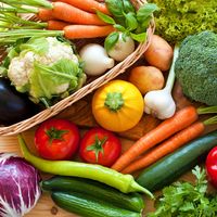 vegetable