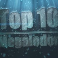 Megalodon facts