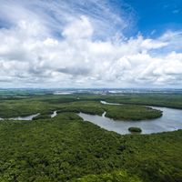 Amazon River