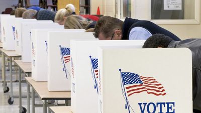 U.S. voting