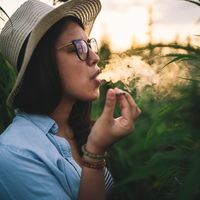 Marijuana smoking