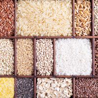 Grains and seeds